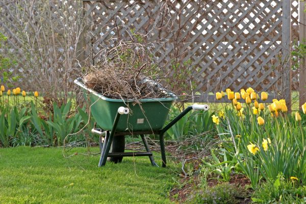 Flower Bed Cleanup Service in Whittier