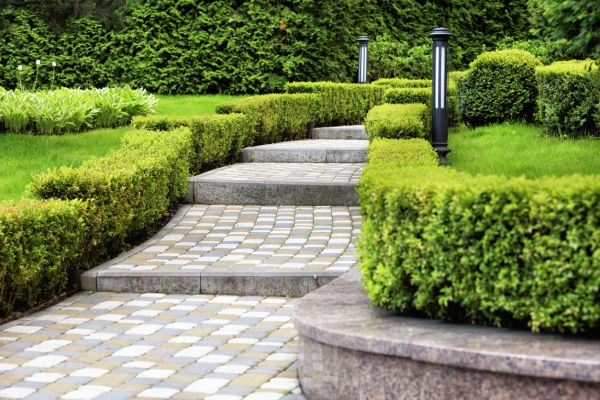 Backyard Remodeling in Whittier