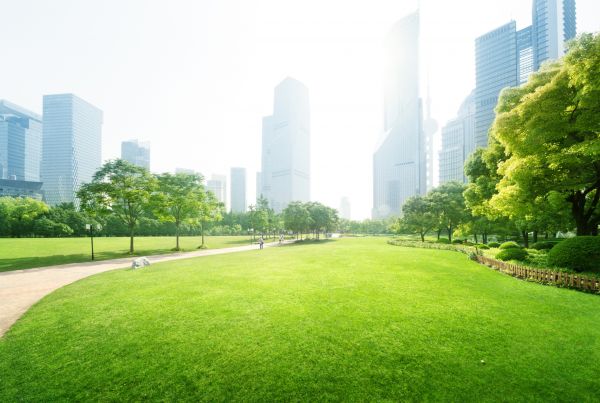 Commercial Landscape Maintenance in Whittier