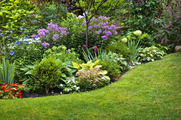 Flower Bed Service in Whittier