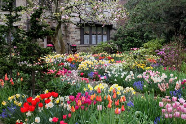 Garden Maintenance Service in Whittier