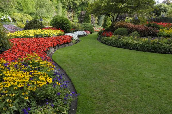 Landscaping Maintenance in Whittier