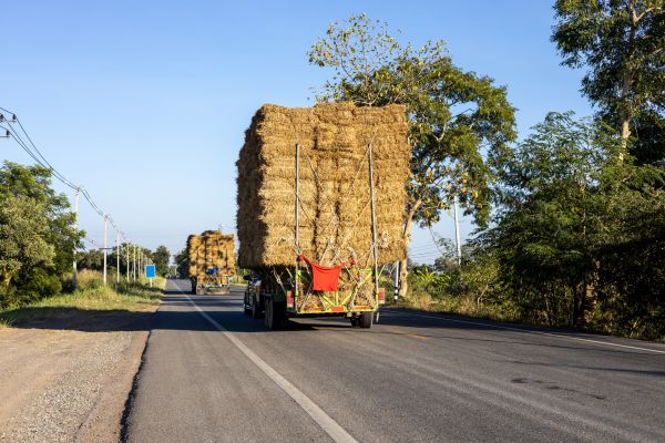 Pine Straw Delivery in Whittier
