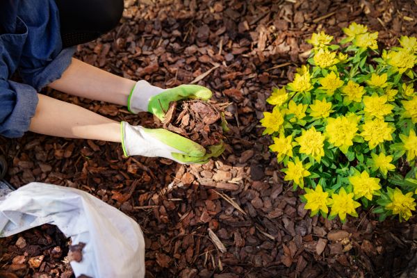 Garden Mulching in Whittier