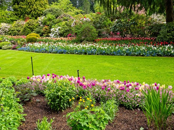 Residential Landscape Design in Whittier