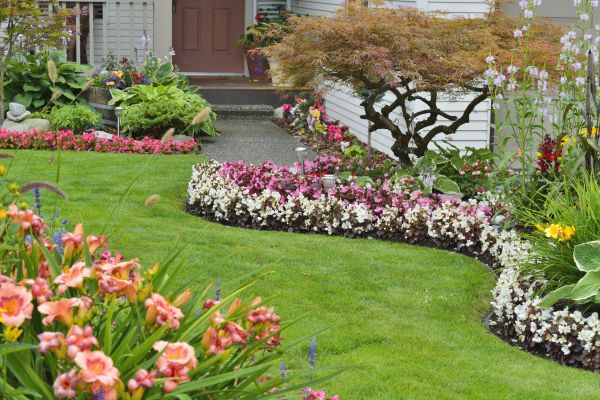 Perennial Landscaping in Whittier