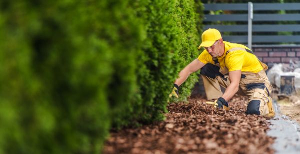 Cypress Mulch Installation in Whittier