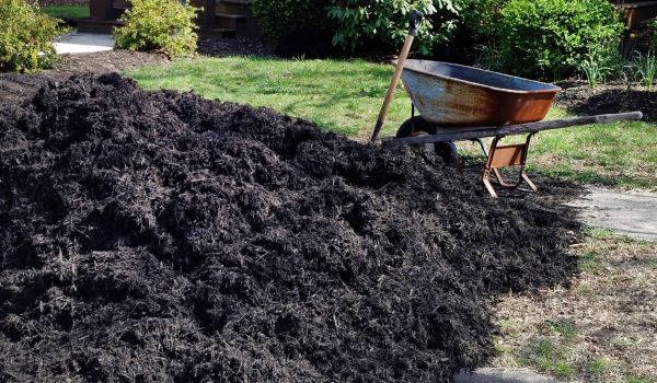 Black Mulch Installation in Whittier