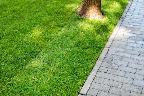 Border Stone Installation in Whittier