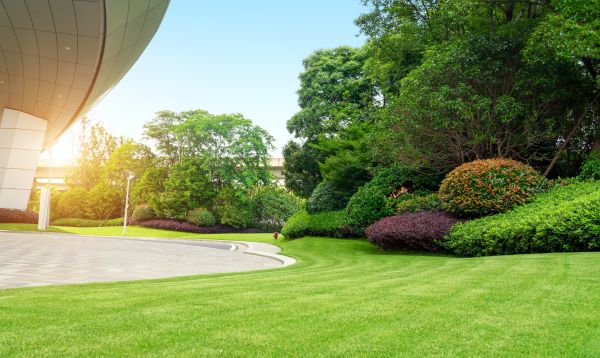 Business Landscape Design in Whittier