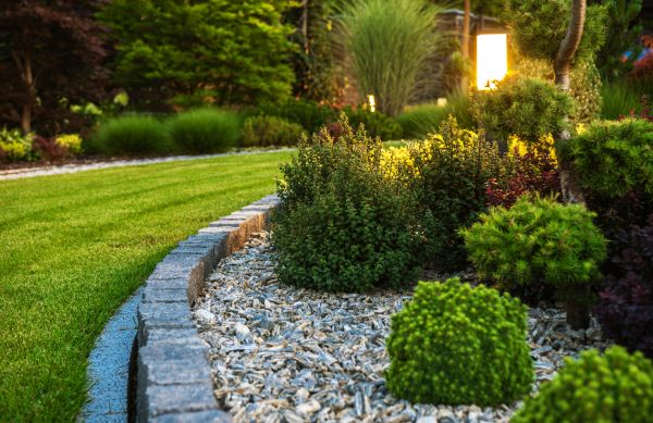 Landscaping Service in Whittier