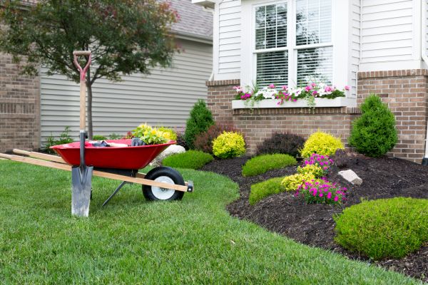 Tree And Shrub Planting in Whittier