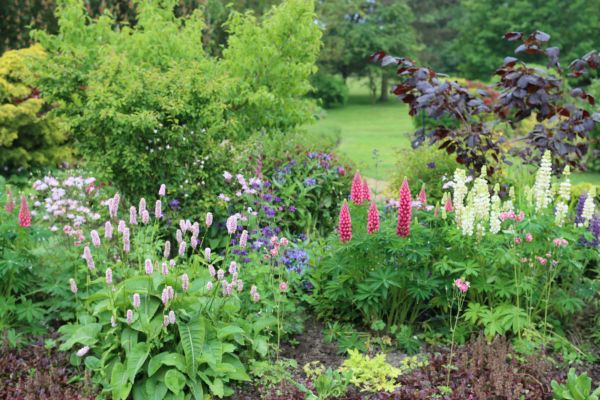 Flower Bed Planting in Whittier