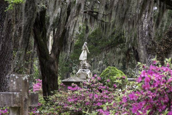 Cemetery Landscaping in Whittier