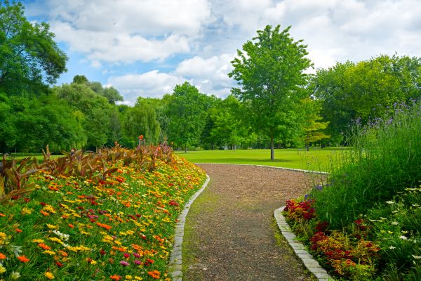 Park Landscaping in Whittier