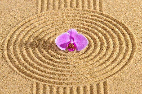 Sand Garden Landscaping in Whittier