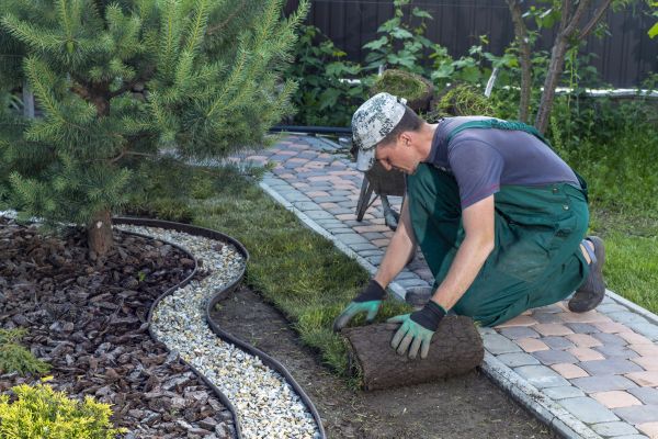 Landscaping Modification in Whittier