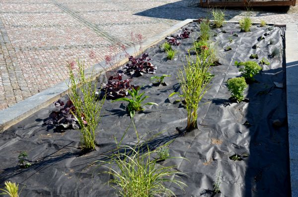Landscape Fabric Installation in Whittier