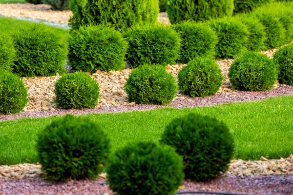 Bush Installation in Whittier