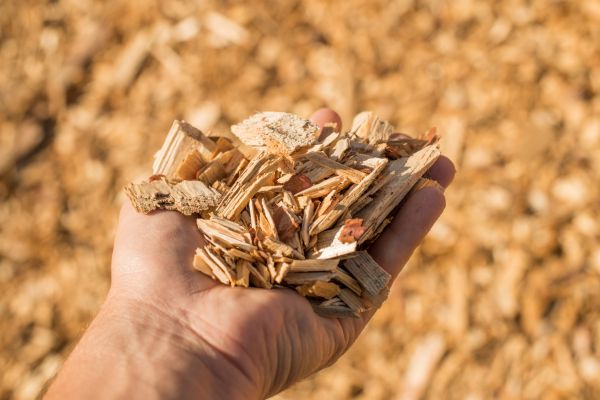 Wood Chips Spreading in Whittier