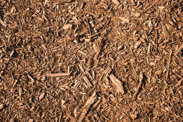 Wood Chips Removal in Whittier