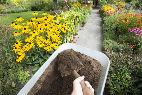 Topsoil Replacement in Whittier