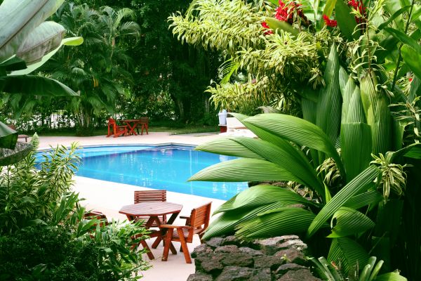 Pool Area Landscaping in Whittier