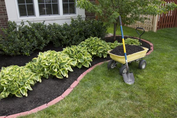 Landscape Mulching in Whittier