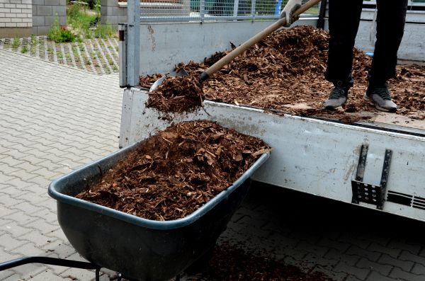 Cedar Mulch Delivery in Whittier