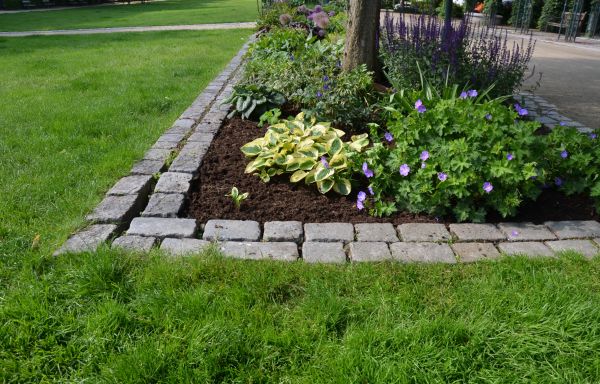 Flower Bed Mulching in Whittier