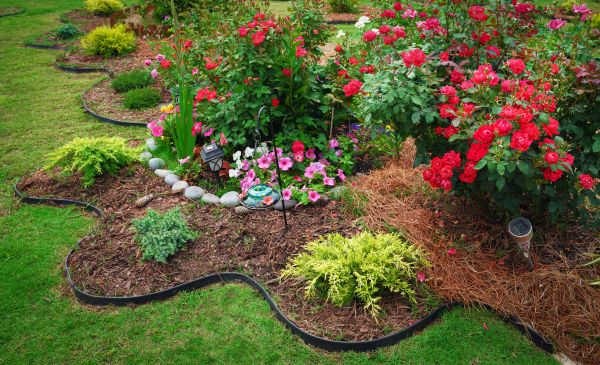 Floral Landscaping in Whittier