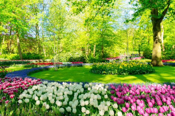 Flower Landscaping in Whittier