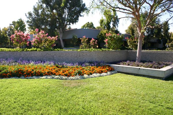 Commercial Landscape Service in Whittier