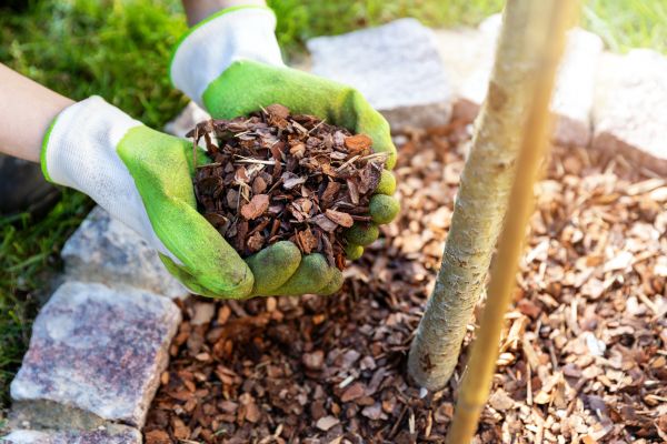 Tree Bark Delivery in Whittier