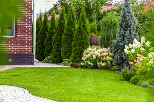 Spring Landscaping in Whittier