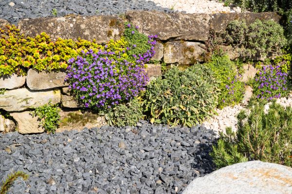 Landscaping Rocks Installation in Whittier