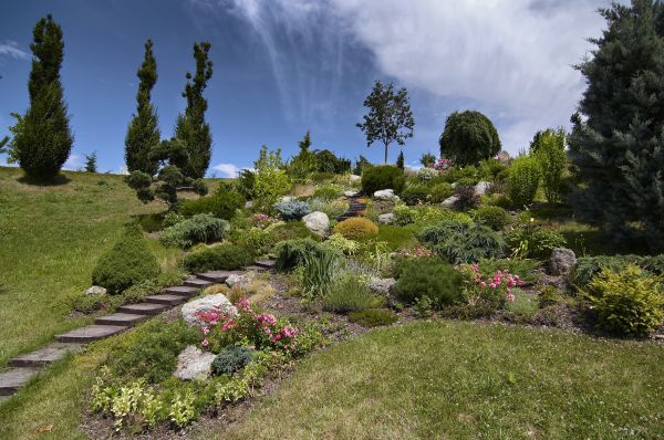 Steep Terrain Landscaping in Whittier