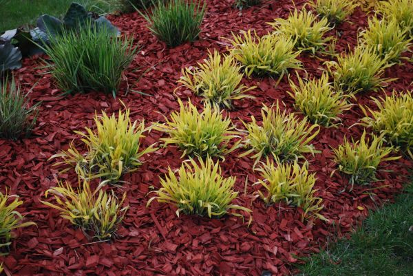 Red Mulch Installation in Whittier