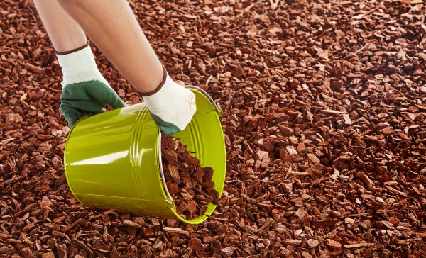 Wood Chip Landscaping in Whittier