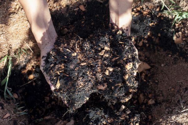 Organic Mulch Installation in Whittier