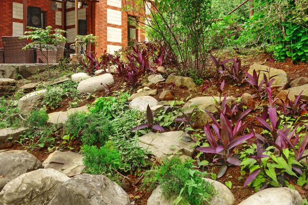 Rock Garden Landscaping in Whittier