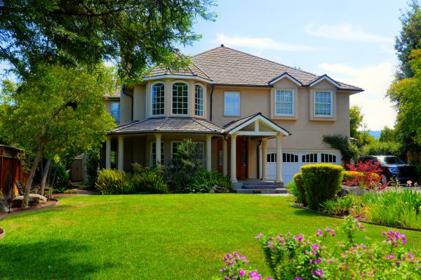 Large Yard Landscaping in Whittier