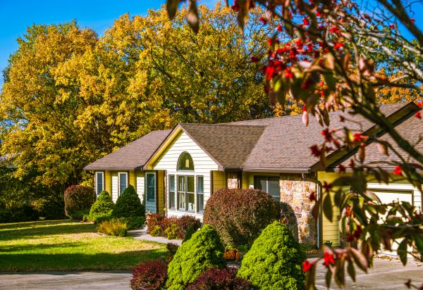 Ranch Landscaping in Whittier