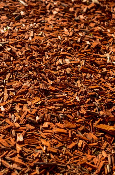 Cedar Mulch Spreading in Whittier