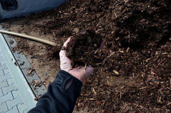 Condo Mulching in Whittier