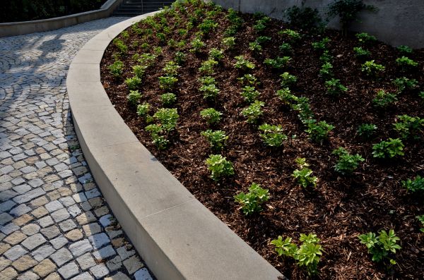 Commercial Mulching in Whittier