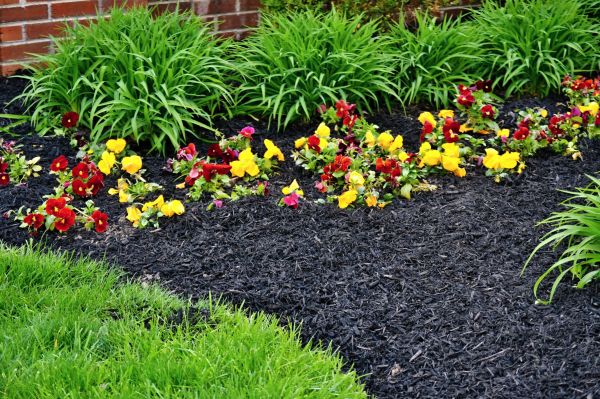 Apartment Mulching in Whittier