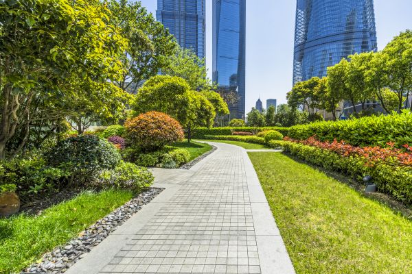 Commercial Landscaping in Whittier