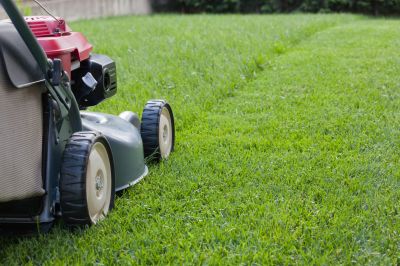 Lawn Repair Service detail