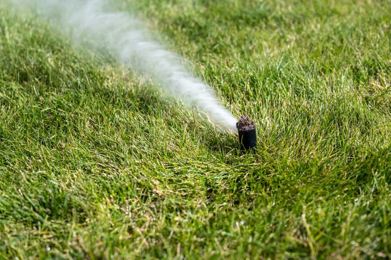 Lawn Sprinkler System in Fall